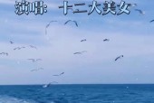 亚洲国精产久久久久人人爱高清,揭秘高清时代的人人爱产业